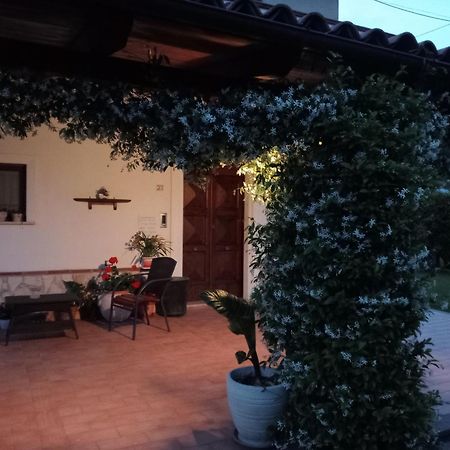 B&B Il Tiglio 파둘라 외부 사진